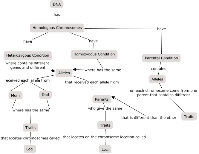 Inhertiance Concept Map How Are Traits Passed To Offspring 